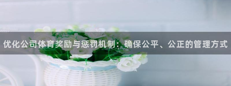 风速体育app官方下载：优化公司体育奖励与惩罚机制：确保公平、公正的管理方式