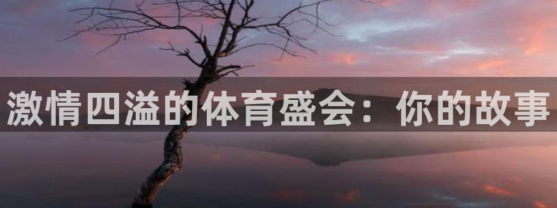 风速体育：激情四溢的体育盛会：你的故事