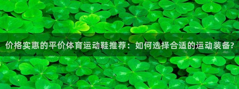 风速体育app下载官网最新版：价格实惠的平价体育运动鞋推荐：如何选择合适的运动装备?