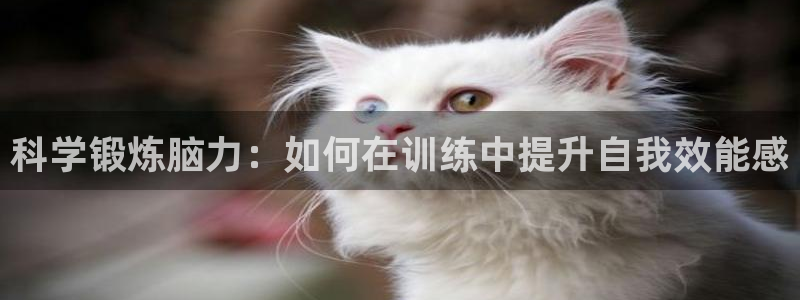 风速体育app下载官网最新版：科学锻炼脑力：如何在训练中提升自我效能感