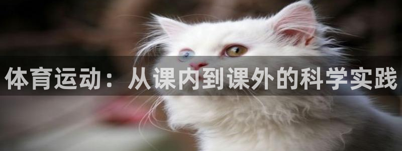 风速体育cba直播：体育运动：从课内到课外的科学实践