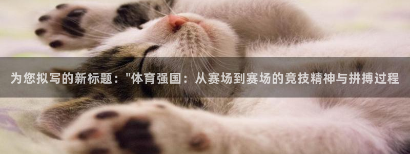 风速体育app：为您拟写的新标题：\