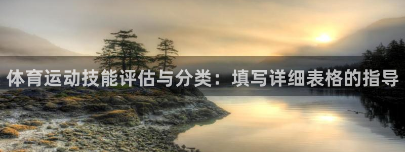 风速体育：体育运动技能评估与分类：填写详细表格的指导