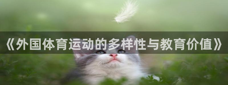 风速体育直播app：《外国体育运动的多样性与教育价值》