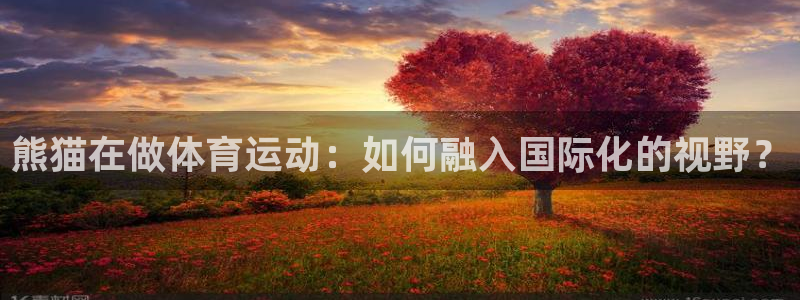 风速体育app：熊猫在做体育运动：如何融入国际化的视野？