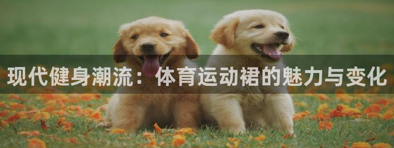 风速体育官网：现代健身潮流：体育运动裙的魅力与变化