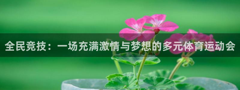 下载风速体育：全民竞技：一场充满激情与梦想的多元体育运动会
