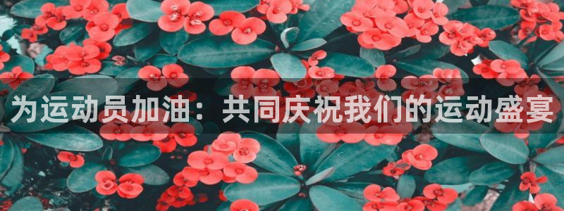 风速体育直播：为运动员加油：共同庆祝我们的运动盛宴