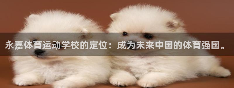 风速体育官网：永嘉体育运动学校的定位：成为未来中国的体育强国。