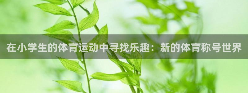 风速体育官网：在小学生的体育运动中寻找乐趣：新的体育称号世界